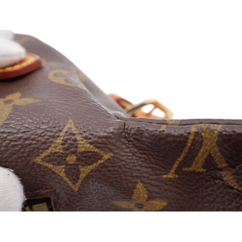 Louis Vuitton Bumbag Monogram Canvas Handtaschen Louis Vuitton 15