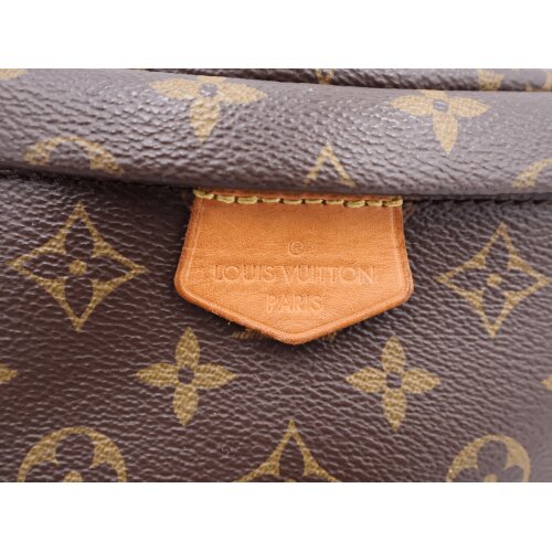 Louis Vuitton Bumbag Monogram Canvas Handtaschen Louis Vuitton 10