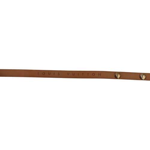 Louis Vuitton Pochette Florentine XS Monogram Canvas Handbags Louis Vuitton 16