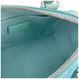 Louis Vuitton Speedy 20 Stardust Vert d’eau Handtaschen Louis Vuitton 27