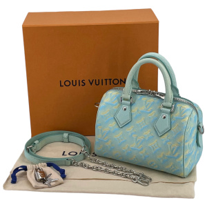 Louis Vuitton Speedy 20 Stardust Vert d’eau Handtaschen Louis Vuitton 17
